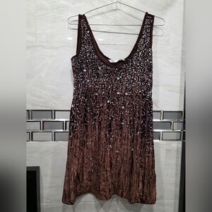 Zara Brown Sequin Velvet Scoop Dress